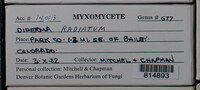 Image Associated With the Occurence